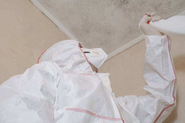 Mold Testing and Removal in Carlsbad, NM