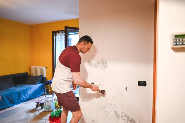 Mold Removal and Inspection in Carlsbad, NM